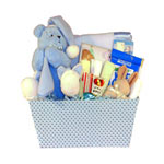 Newborn Baby Boy Gift Basket