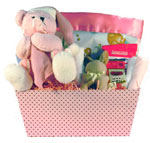 Newborn Baby Girl Gift Basket